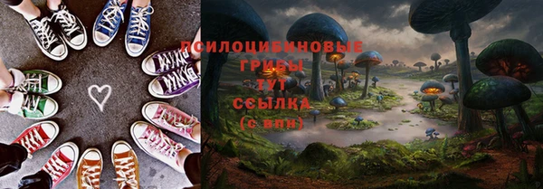 СК Белокуриха