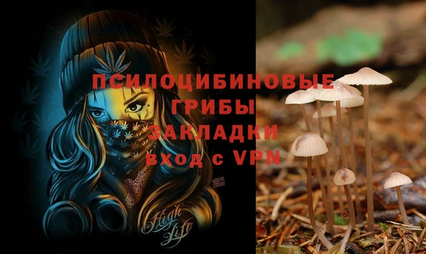 СК Белокуриха